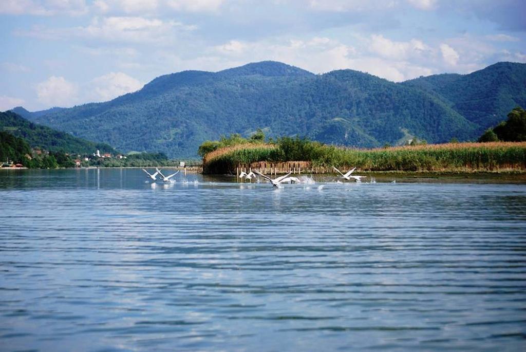 Hotel Royal Drina Mali Zvornik Exterior foto